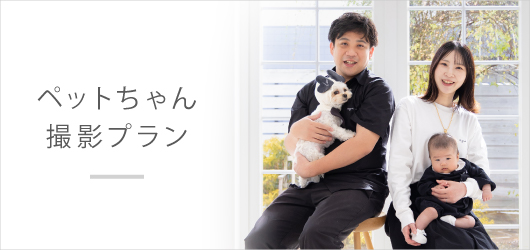 ペットちゃんプラン